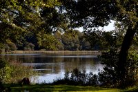 2037 Wellings Landsbymuseum